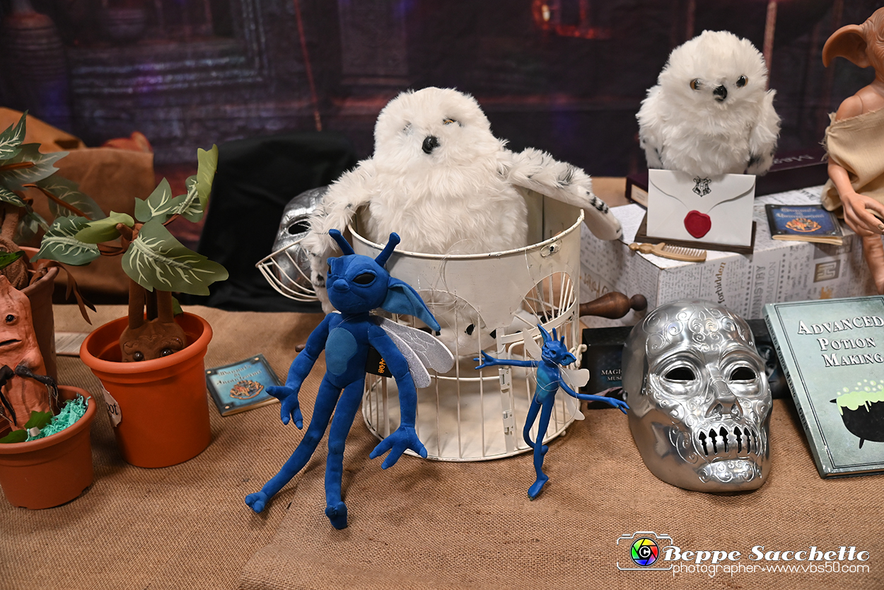 VBS_2039 - Torino Comics 2023.jpg
